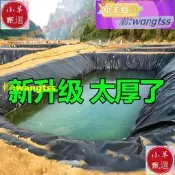 魚塘防滲膜魚池防水帆布水產養殖塑料膜蓄水池篷布膜專用加厚