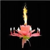 煙火蠟燭 大學生了沒推薦 荷花音樂生日蠟燭 ＊音樂蠟燭 生日派對 生日蛋糕 非浪漫告白煙火.旋轉音樂蠟燭生日蠟燭