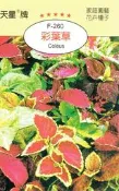尋花趣 彩葉草Coleus 【花卉種子】天星牌 彩色包裝 原包裝種子 家庭園藝 小包裝種子