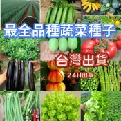 沐耕園|✔💯現貨速寄【蔬菜種子】蔬菜種子大全 冰菜 茄子紫蘇福山莴苣 蘆筍 艾草 番茄 朝天椒 上海青 空心菜 香菜 