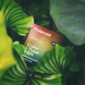 實驗攝◎現貨 製造日期最新 POLAROID 600 SX70 ITYPE GO 彩色 黑白 拍立得底片 I-2 寶麗來