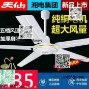 天仙牌吊扇鐵葉加勇克廳飯廳宿舍工業電風扇五葉純銅線大風力56寸