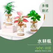 水耕瓶 水培透明花盆 塑膠花盆 水耕瓶 水植盆栽 水生植物盆栽 透明花盆 養魚養植物 多肉花盆 無土栽培 //綠閣//