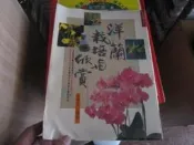 洋蘭栽培與欣賞 張豐榮編著 名文 八成新、無劃記 、無章釘、 (R1895)【一品冊】
