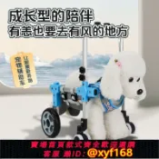 鑫永發國際貿易企業社 {可打統編 保固一年}直銷后肢癱瘓康復狗狗寵物小型四輪輪椅代步簡易輕便貓咪輔助車貓