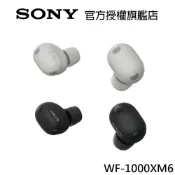 SONY 真無線藍牙耳機 WF-1000XM6