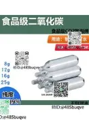 時榀級CO2二氧化碳氣瓶16g小鋼瓶戶外露營氣動喀非機5L啤桶專勇