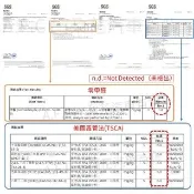 【一朵花汽車百貨】HYUNDAI 現代 SANTA FE 24年後  法蘭絨 麂皮 碳纖維 超纖皮革 避光墊