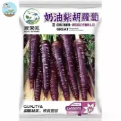 【原廠包裝】奶油紫胡蘿蔔種子（Cream Purple Carrot）2克裝 稀有可食用胡蘿蔔  陽台盆栽菜園 沙拉生食