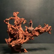 【順心好物 下單請先聊聊哦】順心必買/天然金絲紅沉木魚草缸造景樹根雕藝茶桌玄關裝飾擺件非杜鵑根紫柚 超值好物