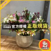 西柚優選 悠悠迷你萬代蘭仿真花蘭花 假花客廳裝飾花 絹花室內擺放花卉裝飾品