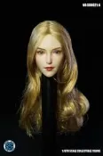 SUPER DUCK 1/6 SDH021 美女頭雕 A款(全新品)~數量有限!!要買要快!