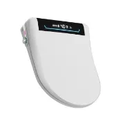 【Lezun】110V省電瞬熱式 乾淨便座/噴嘴自潔/免治馬桶座(不含安裝/瞬熱式/遙控調節/自動掀蓋/三色可選)