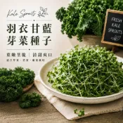 羽衣甘藍芽菜種子--捲葉羽衣甘藍｜適合芽菜苗菜嫩菜栽培｜水培水耕種子｜綠拿鐵蔬菜種子【四季綠園】