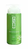 WAJASS 威傑士 SC2控油洗髮精(清涼型) 500ml~優惠價:360元｜岡山戀香水