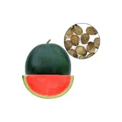 (店+)【蔬菜之家】00I10.大包裝富貴無籽西瓜種子2克約30顆(果重約6公斤糖度11~12中脆圓果黑皮)