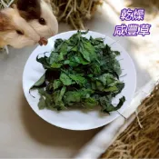 【柚樂木寵物手作】乾燥 咸豐草 牧草 無農藥 低溫乾燥 寵物食草 寵物牧草 寵物零食 天竺鼠 兔子 龍貓 倉鼠 齧齒類