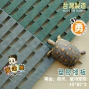 【黃金屋地墊】（勇)45*60*2cm塑膠棧板