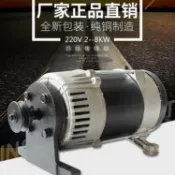 皮帶輪式發電機 110V/220V柴油汽油發電機全銅2kw-8kw各种動力改裝小型發電機永動機交流電