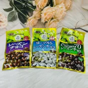 日韓小潼 日本 正榮 葡萄乾巧克力/優格葡萄乾巧克力/可可70%葡萄乾巧克力🍫 40g 三款可選｜全店$299 全家取貨免運｜滿額折500｜APP下單最高賺19%點數⚡