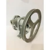 1英吋 1“ 白鐵齒輪泵浦-重油幫浦-自吸式幫浦-外齒輪泵浦-化工幫浦-抽油機-抽水機-液態肥輸送(台灣製造)