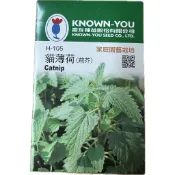 【瘋狂園藝】(H-105)貓薄荷(荊芥) 香草藥 種子 小包裝 本包種子約100粒