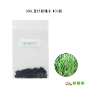 D05.蔥仔蒜種子100顆(夏天種植，植株較細.日本進口韭蔥.韭蒜吃起來像韭菜又帶有洋蔥的甜味)蔥類種子【綠藝家】