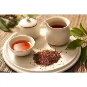 〈希望種子咖啡〉南非國寶茶 博士茶