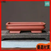 長方形花盆 紫砂花盆 盆景盆 菖蒲盆 多肉花盆 陶瓷盆器 粗陶盆 馬槽盆 透氣 辦公室 盆栽 擺飾 花器 裝飾 園藝