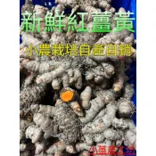 小薑農 自產自銷 新鮮紅薑黃、薑黃   (通過SGS食品安全檢驗合格)