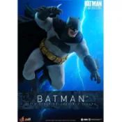 阿頑宅一起 預購 HOT TOYS CMS024 蝙蝠俠：黑暗騎士歸來 蝙蝠俠 DC 布魯斯·韋恩 Batman