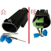 PGO AEON 雷霆王 abs感知器插頭 汽油幫浦插頭 汽油泵浦插頭 福斯 奧迪 BMW 賓士 水溫感知器插頭