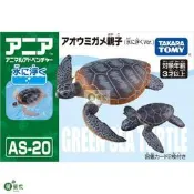 TOMY多美卡安利亞仿真海洋動物模型男綠海龜漂浮版137610