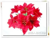 ◎花語人造花資材◎＊6頭絨布小聖誕紅花束＊辦公室擺設~櫥窗假花~聖誕節佈置盆栽