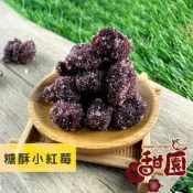 糖酥小紅莓 (冰糖楊梅) 200g 酸甘甜 蜜餞 解膩 古早味蜜餞 辦公室零食 蜜餞推薦 懷舊滋味【甜園】