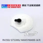 SYM三陽原廠 汽油幫浦 過濾網 濾芯 MAXSYM 400/ GTS 300i/ RV250 幫浦濾網
