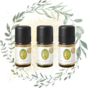 現貨💎Primavera 德國春天 複方精油 5ml 永恆花 茉莉花 甜橙 尤加利 佛手柑 香氛精油 芳香按摩 附發票