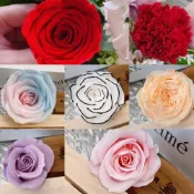 (店+)玫瑰花頭｜漸層康乃馨｜不凋玫瑰花頭｜永生花DIY材料｜母親節/情人節禮物/花圈花環/乾燥花玻璃罩適用｜黑邊玫瑰風格