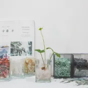 【現貨】水晶/紅玫石/1.2分紅玫石/水族/資材/裝飾/多肉/植物/尺寸皆有/園藝鋪面/ 生態缸/石頭