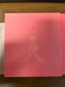 椎名林檎《勝訴ストリップ》日版初回限定CD