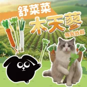 舒菜菜木天蓼棒 木天蓼棒 舒壓棒 木天蓼貓玩具 田園蔬菜 貓咪木天蓼 貓咪啃咬棒 蟲癭果 貓薄荷 大蔥 小蔥