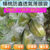 桃園出貨🔥保護袋薄膜 果樹套袋有耳番芭樂水果專用套袋  楊桃套袋 番石榴芭樂透氣薄膜袋 甜石榴防蟲專用袋 蘋果百香果袋