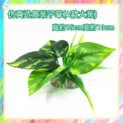 ★爬蟲新樂園★[台灣現貨]仿真造景葉子草 造型逼真 大小適中 增添自然情景 爬蟲箱佈置 水族造景 爬蟲 守宮 蜥蜴