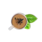 (店+)【蔘大王】『破壁黑豆牛蒡茶►共1入』(6g/入)養生無咖啡因▪青仁黑豆▪豆香十足▪快速透味║無茶鹼草本茶包