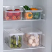 🌸冰箱收納盒🌸 免運 下殺價食品級冰箱收納盒保鮮盒廚房蔬菜水果專用整理神器冷凍雞蛋餃子盒