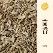 (店+)｜大台南五穀糧倉｜50g 茴香滷包  辛香料 小茴香 茴香子 甜茴香 香絲菜 蘹香 香料子 調味 五穀雜糧