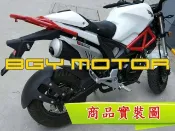 金機車精品@小輪徑 10 12 13吋 檔車 重機 後土除 內土除 後擋泥板 MSX,Z125,MX150