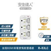 大和電 【安全達人R-53LC】3開3插 3P 壁插 分接器 多口壁插 多開多插壁插 快充插座 PTP插座 USB插座