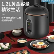 迷你小電鍋 一人食小電飯鍋不粘鍋智能電鍋多功能 兩人用