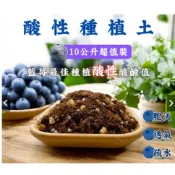 現貨~酸性種植土(10/25公升超值裝) 藍莓栽培土 藍莓土 食蟲植物土 酸性泥炭  介質土 培養土 酸性介質 杜鵑花